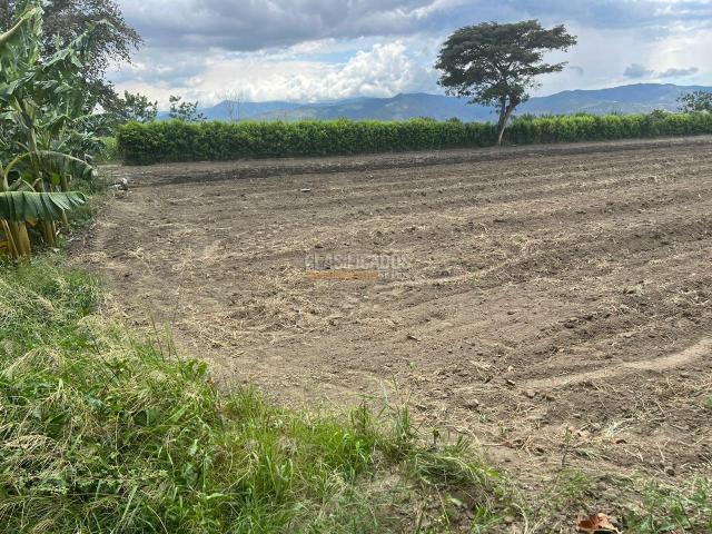 Lotes, Venta en Palmira