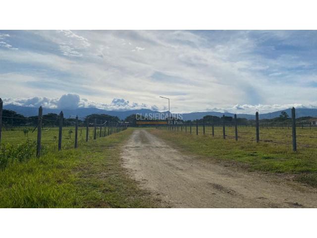 Lotes, Venta en Palmira