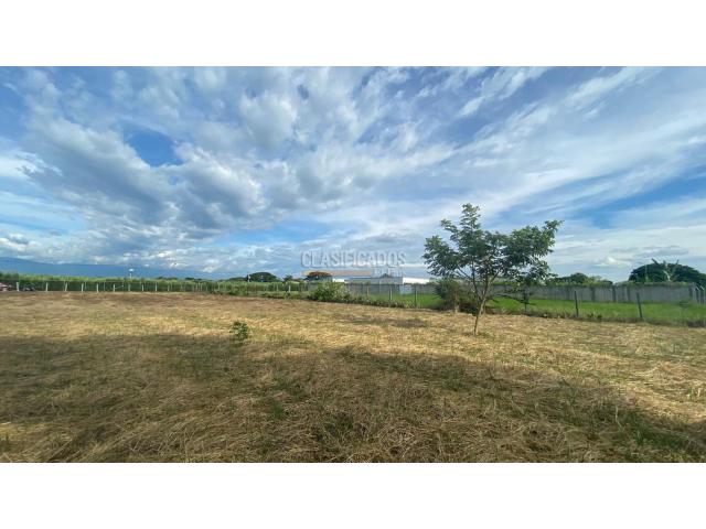 Lotes, Venta en Palmira