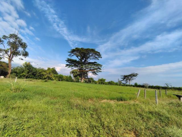 Lotes, Venta en Candelaria