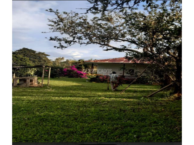 Fincas y Casas Campestres, Venta en Dagua