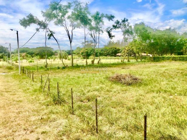 Lotes, Venta en Palmira