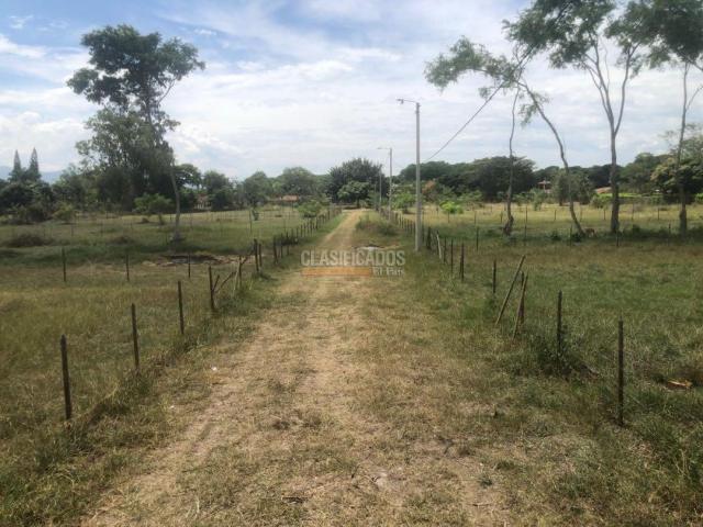 Lotes, Venta en Palmira