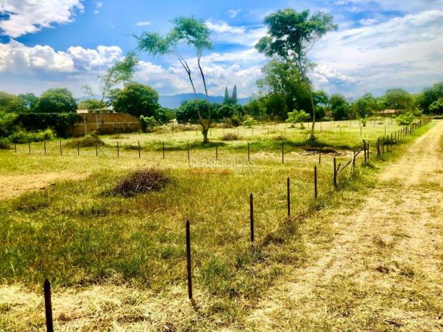 Lotes, Venta en Palmira