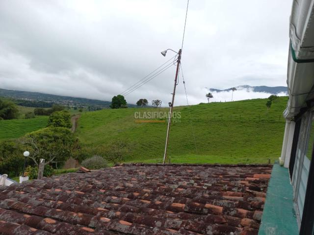 Lotes, Venta en Calima (Darién)