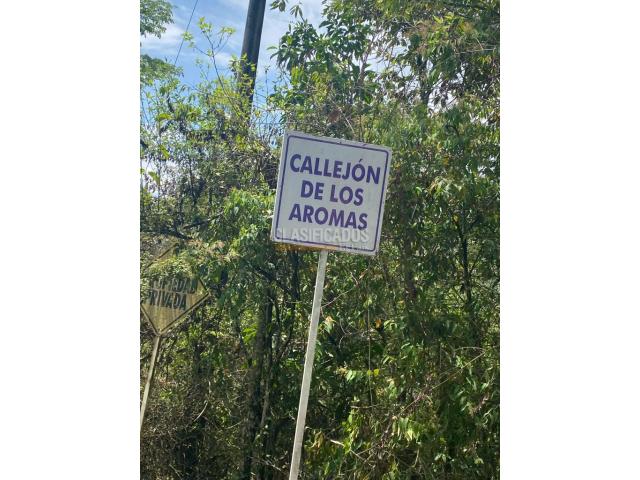 Lotes, Venta en Pance