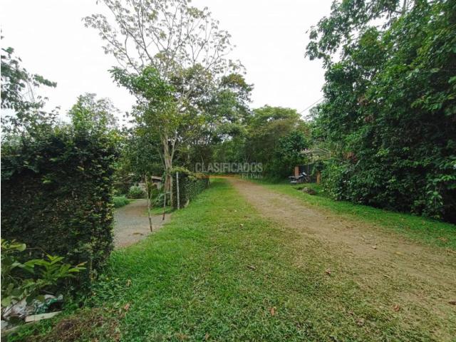 Lotes, Venta en Pance