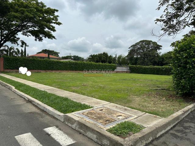 Lotes, Venta en Palmira