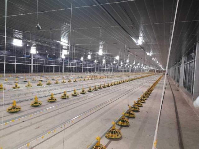 Casas, Venta en Jamundí