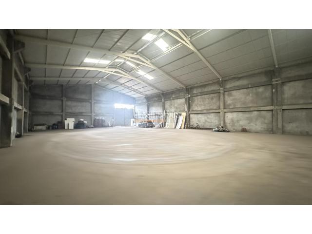 Locales y Bodegas, Alquiler en Palmira