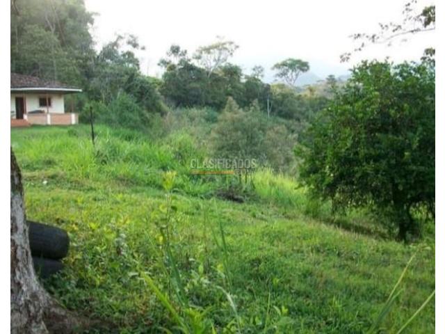 Fincas y Casas Campestres, Venta en La Buitrera