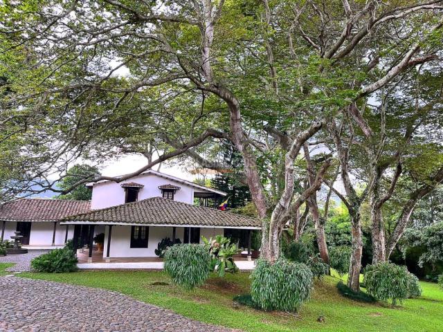 Casas, Venta en Bellavista