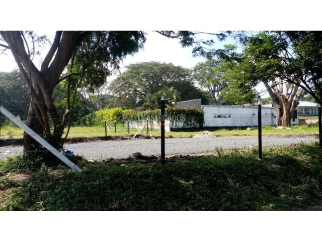 Lotes, Venta en Buga