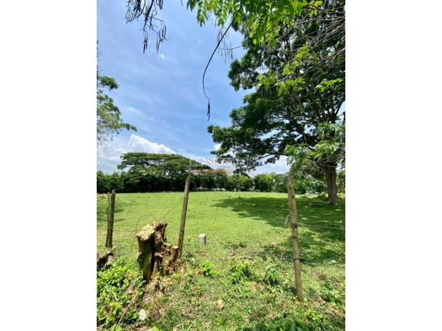 Lotes, Venta en Pance