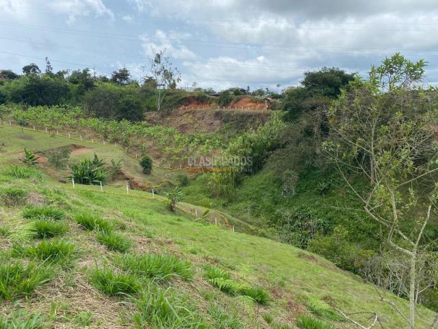 Lotes, Venta en Dagua