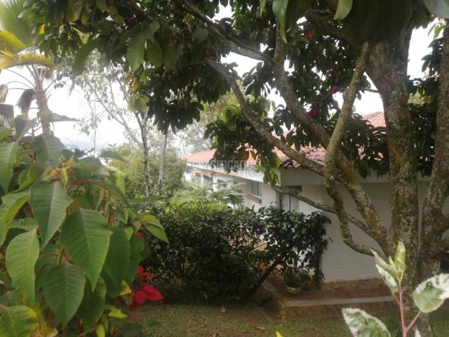 Casas, Venta en Pance