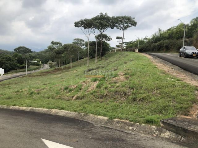 Lotes, Venta en Pance