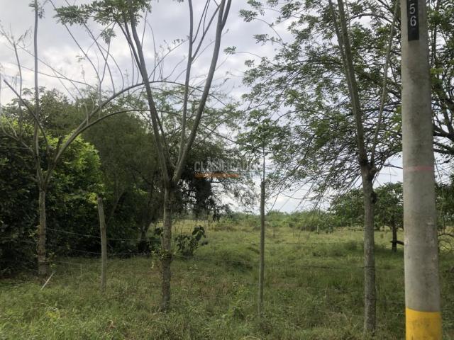 Lotes, Venta en Pance