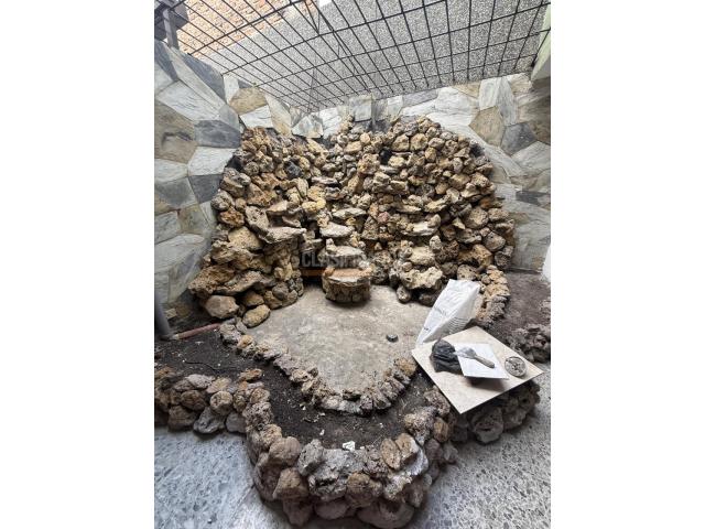 Casas, Alquiler en Nuevo Rey