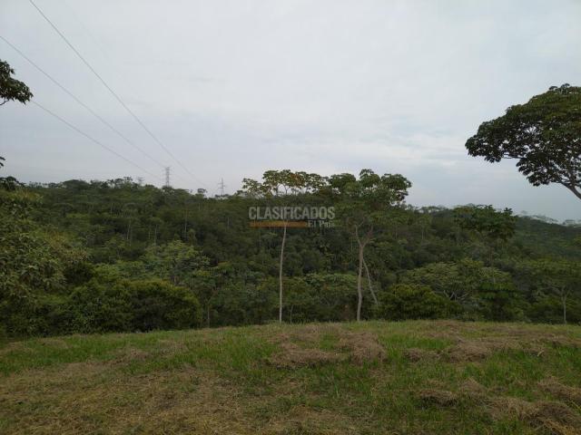 Lotes, Venta en Pance