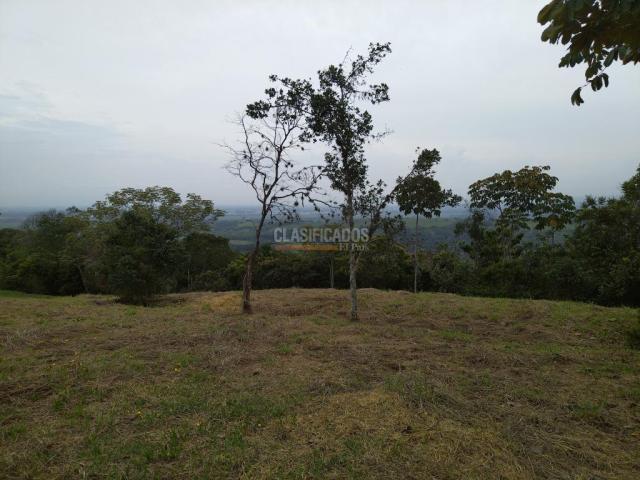 Lotes, Venta en Pance