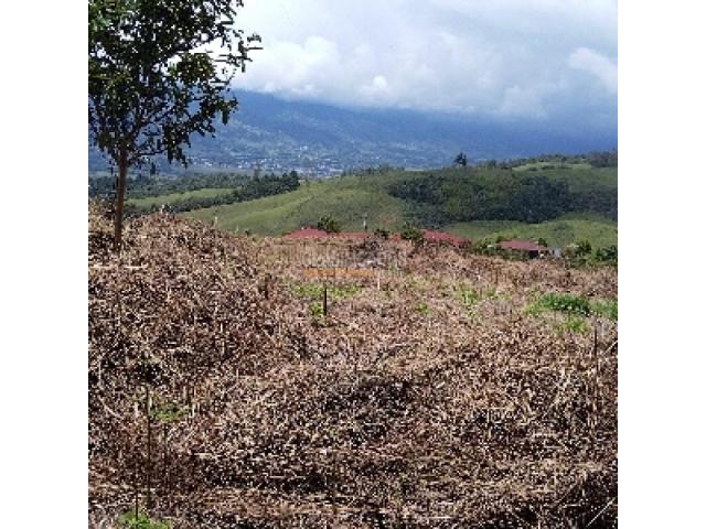 Lotes, Venta en Calima (Darién)