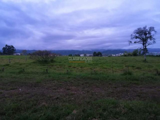 Lotes, Venta en Popayán