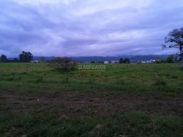 Lotes, Venta en Popayán