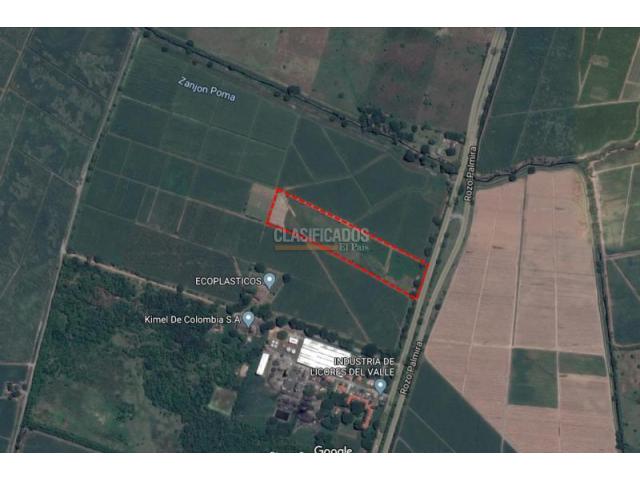 Lotes, Venta en Palmira