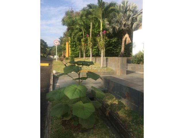 Casas, Venta en Altos del Lili