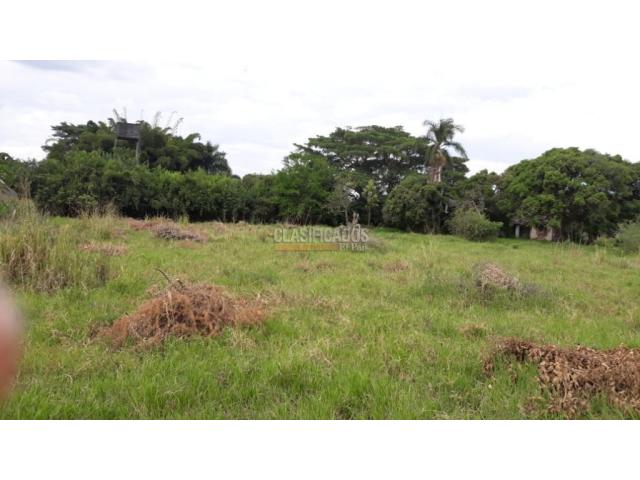 Lotes, Venta en Ginebra