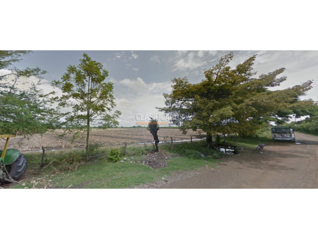 Lotes, Venta en Palmira