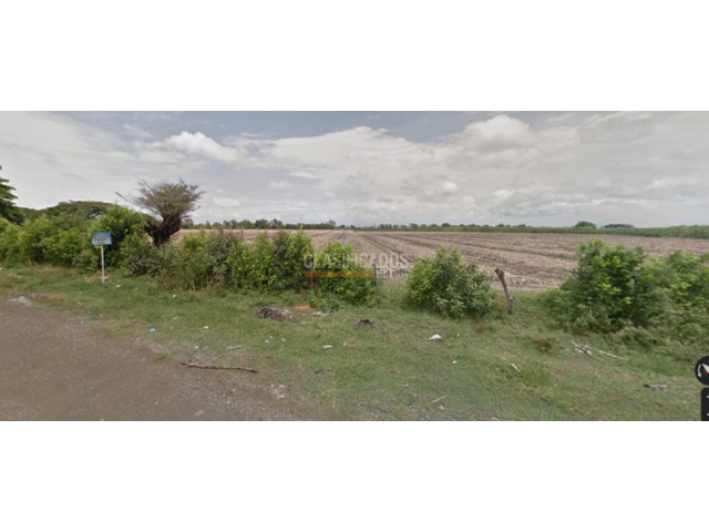 Lotes, Venta en Palmira