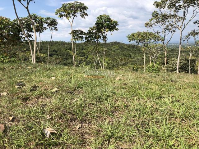 Lotes, Venta en Pance