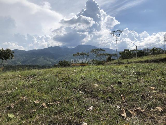 Lotes, Venta en Pance