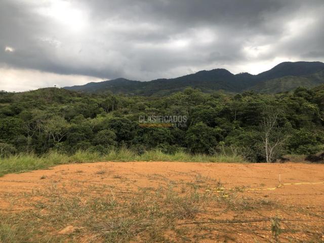 Lotes, Venta en Pance