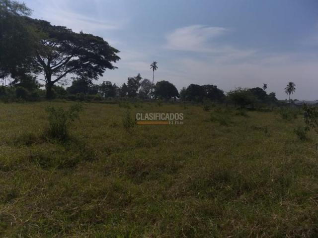 Lotes, Venta en Candelaria