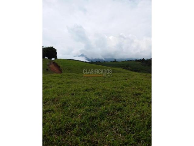 Lotes, Venta en Restrepo