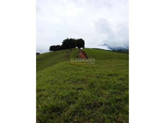 Lotes, Venta en Restrepo