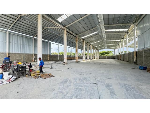 Locales y Bodegas, Alquiler en Palmira