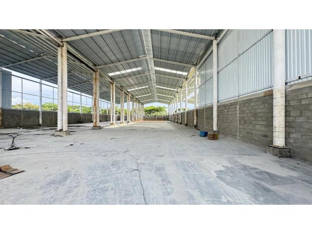 Locales y Bodegas, Alquiler en Palmira