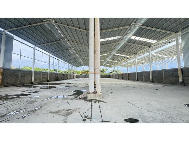 Locales y Bodegas, Alquiler en Palmira