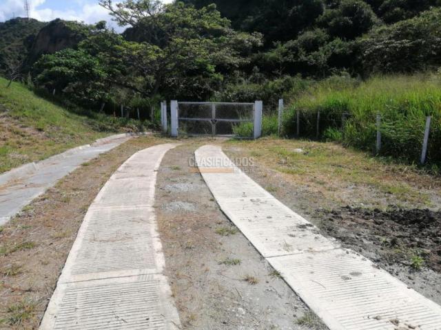 Lotes, Venta en Buga