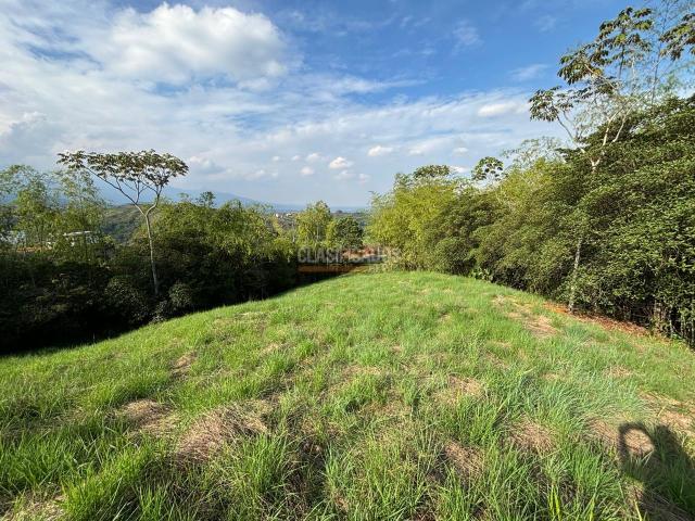 Lotes, Venta en Jamundí