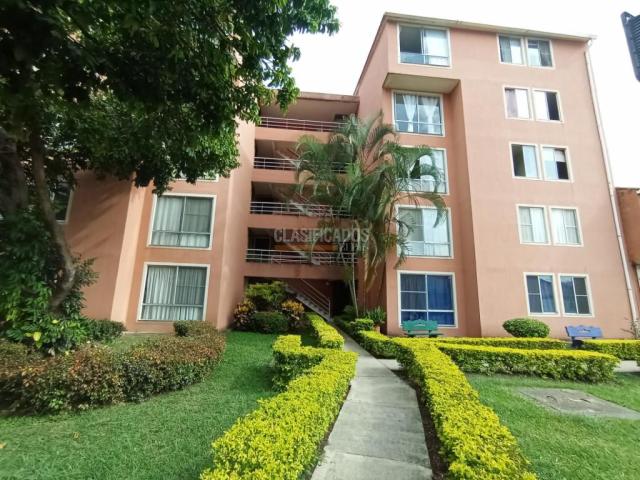 Apartamentos, Alquiler en Palmira