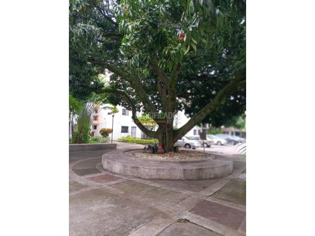 Apartamentos, Alquiler en La Hacienda