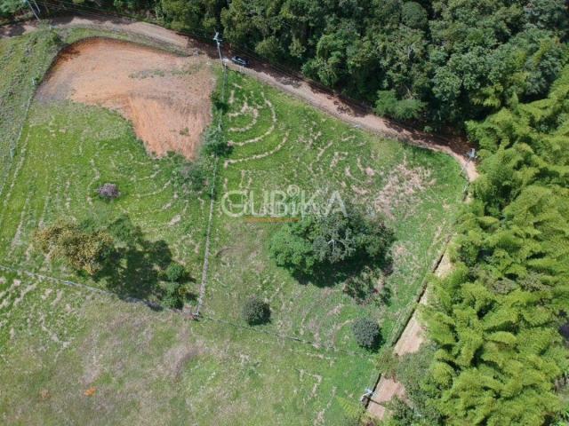 Lotes, Venta en Calima (Darién)