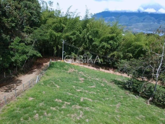 Lotes, Venta en Calima (Darién)