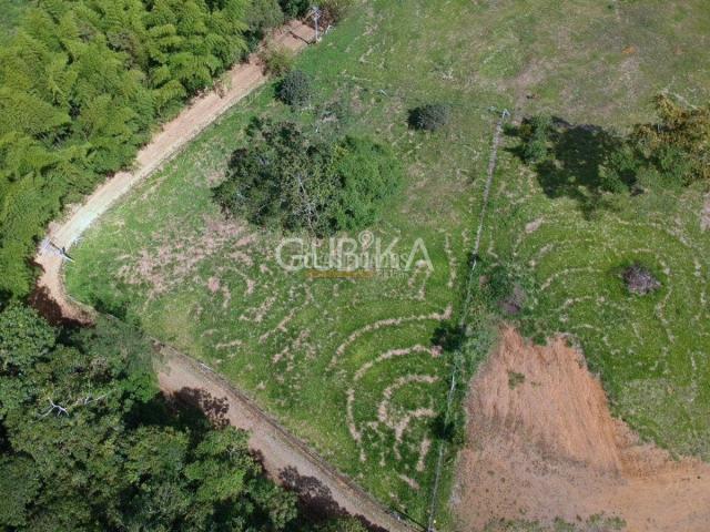 Lotes, Venta en Calima (Darién)