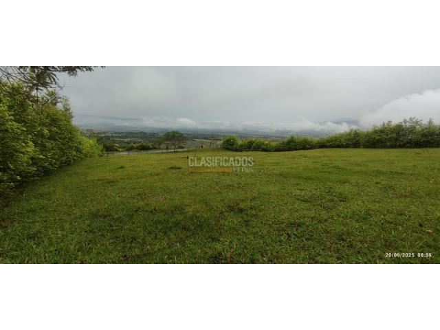 Lotes, Venta en Palmira